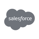 Salesforce partner